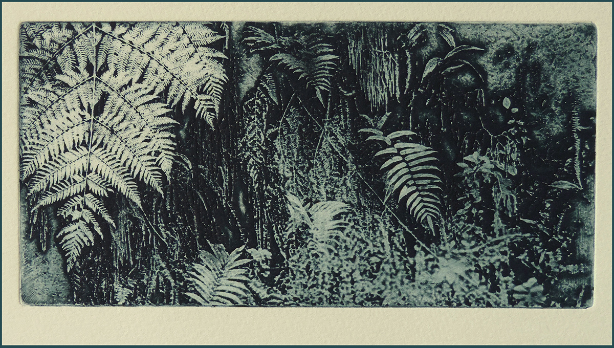 printmaking etching grabado landscapes Aguafuerte