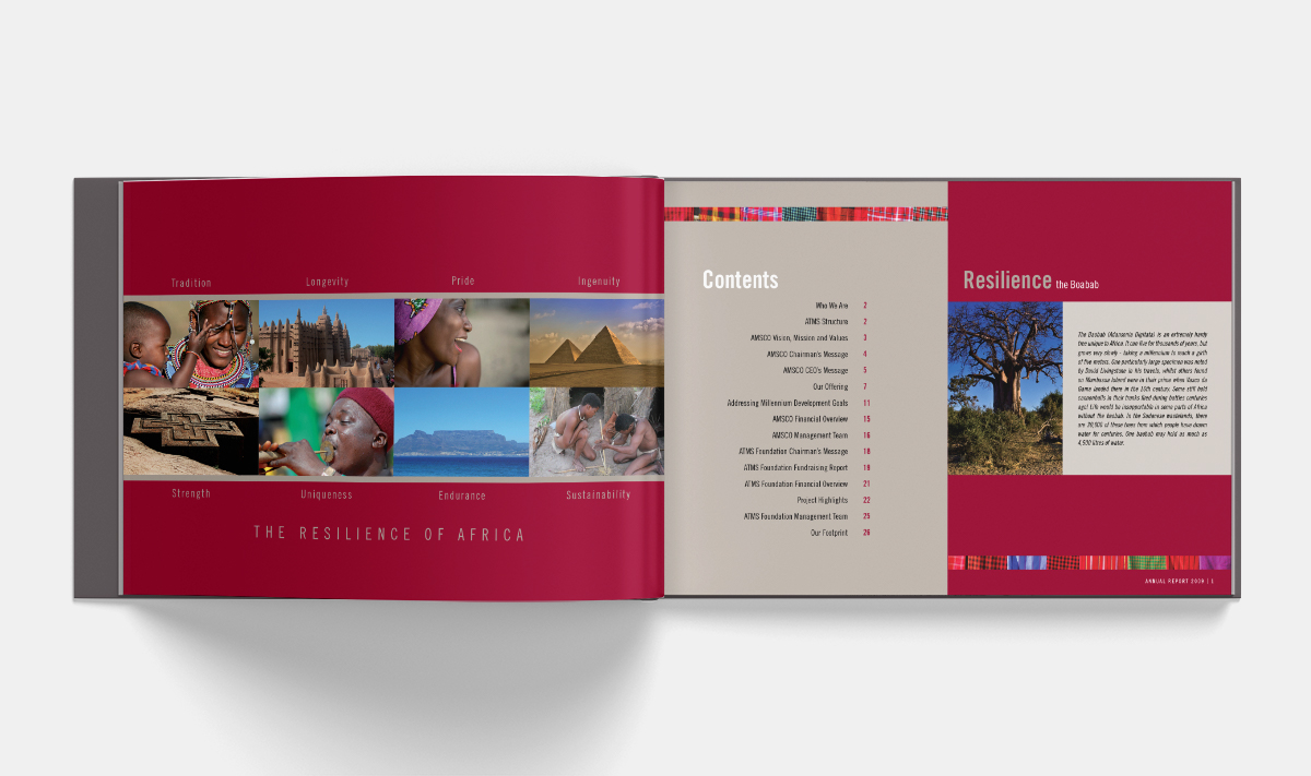 annual report AMSCO United Nations africa Maroon