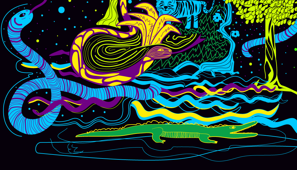 ilustracion ayahuasca ilustración digital diseño gráfico ezequiel borrilli арт