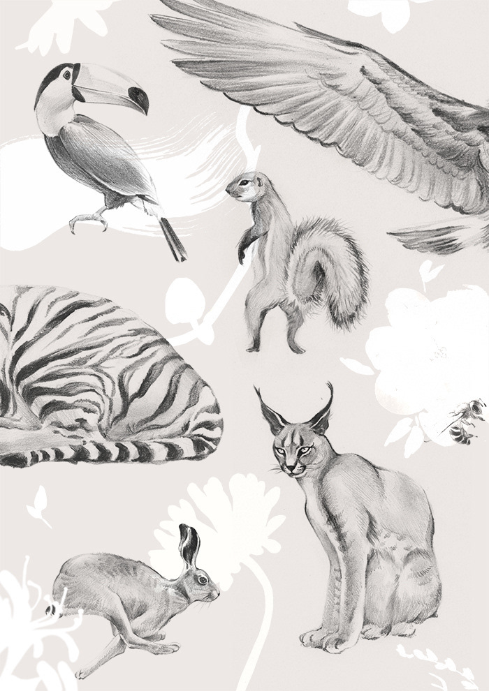 pattern watercolor pencil Tropical animal bird flower wildlife