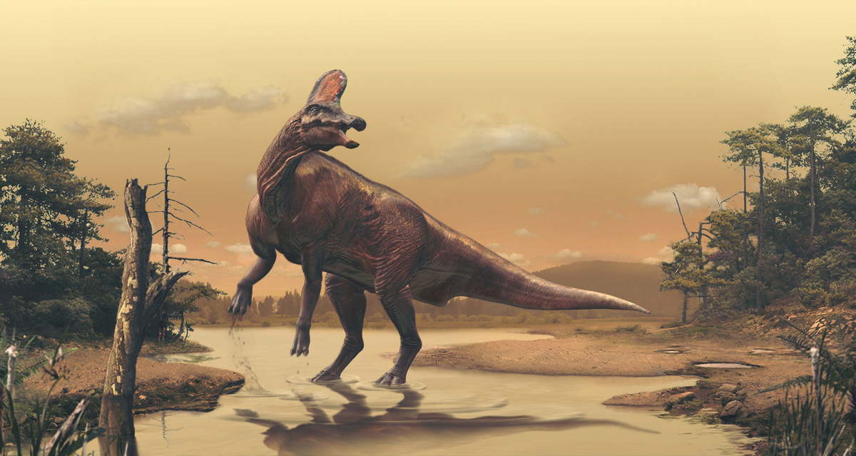 dinosaure paleoart paleoart animal préhistorique prehistoric Zbrush 3D photoshop Nature