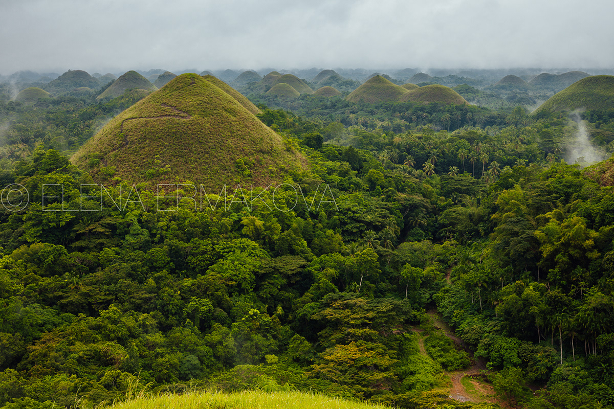 The Chocolate Hills, Bohol, Philippines