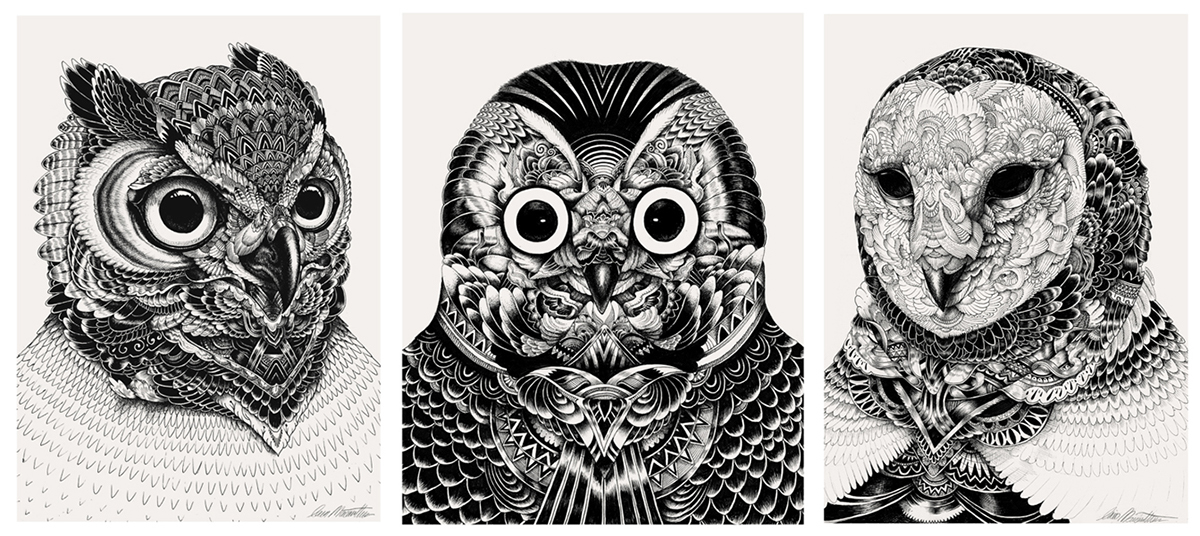 owls pen Patterns black and white