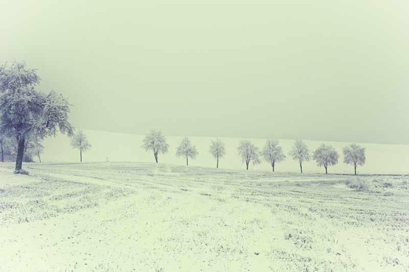 winter cold Landscape