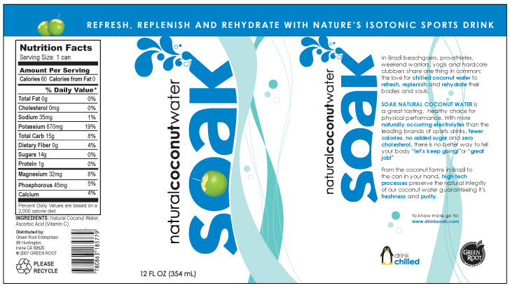 sports drink Logo Design branding development Tropical Wellness natural modern