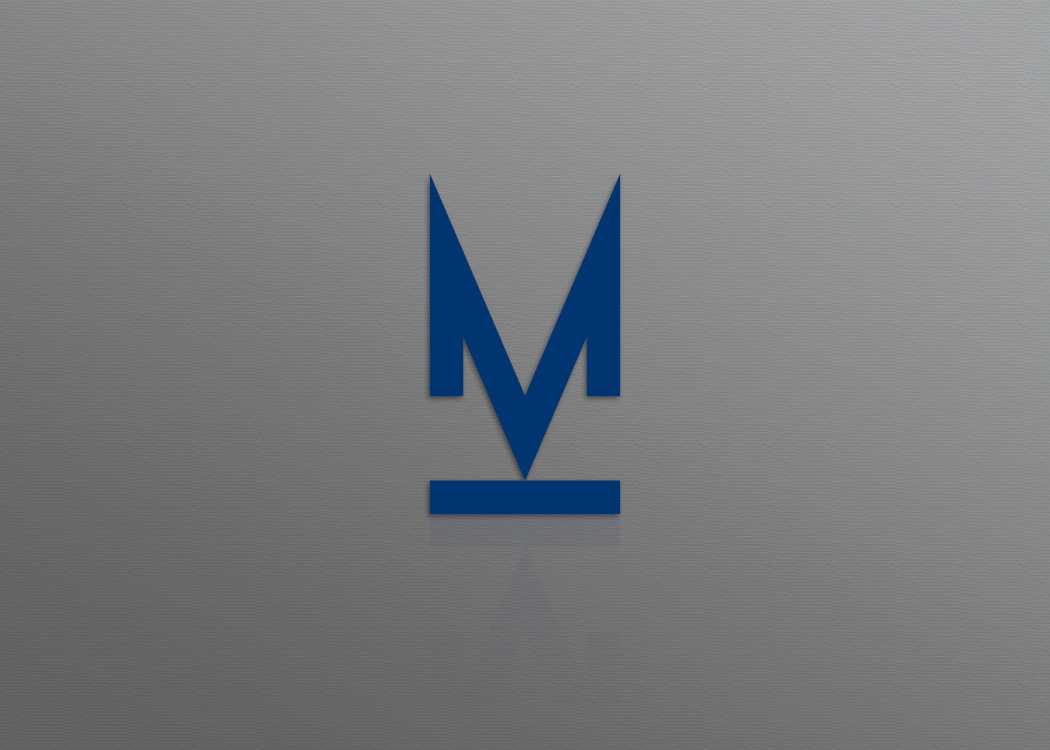 photographer colour identity stationary logo blue silver