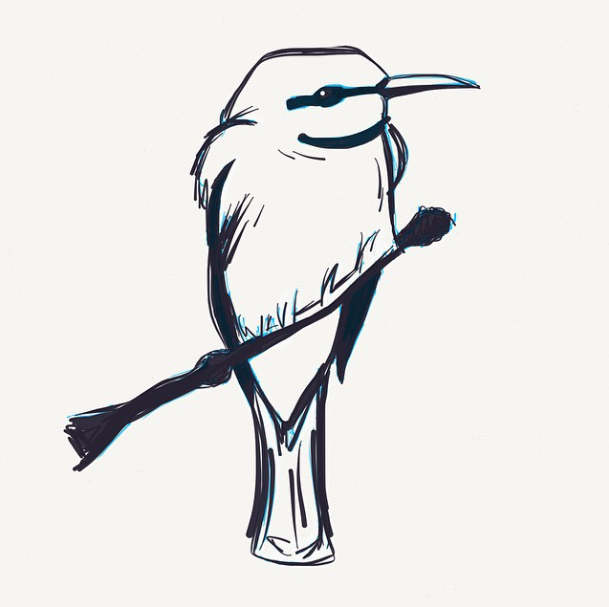 bird doodles paper fiftythree