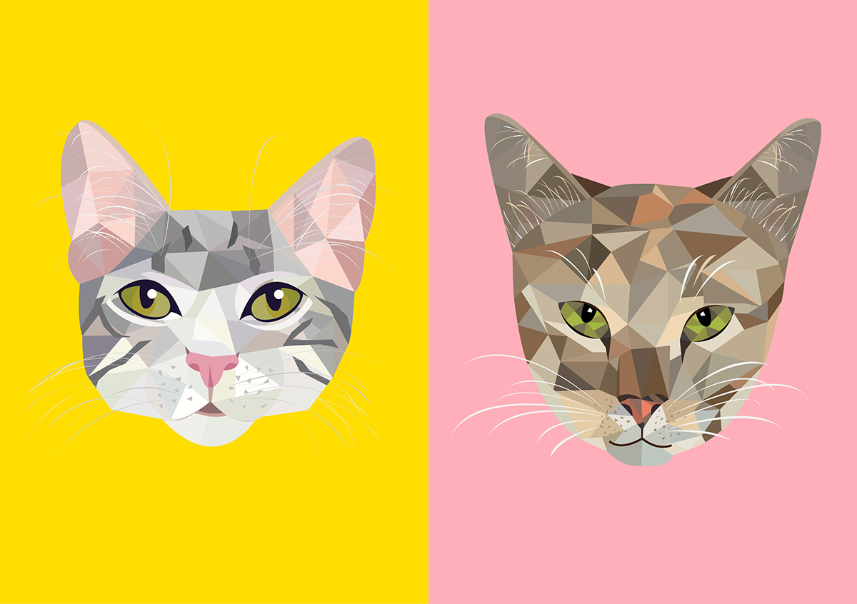 Adobe Portfolio geometric design cats