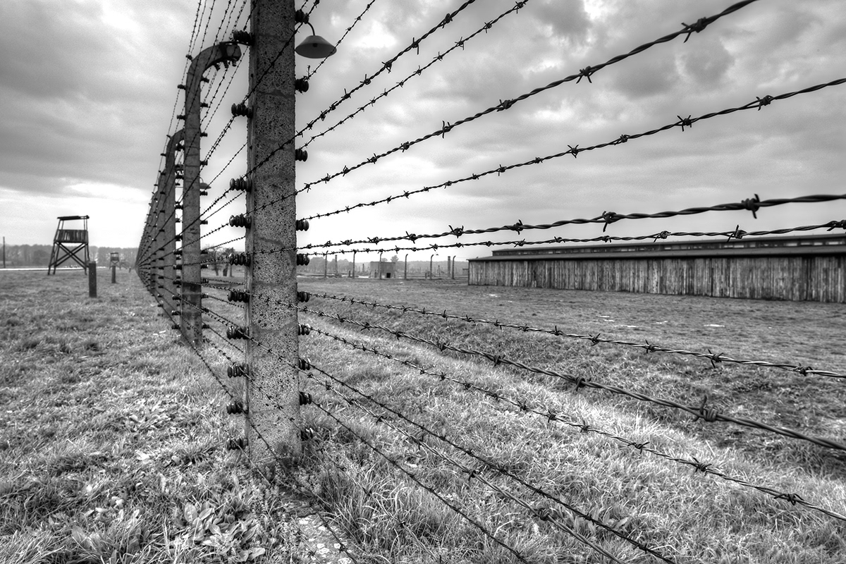 auschwitz birkenau poland Concentration Camp nazi WWII black and white