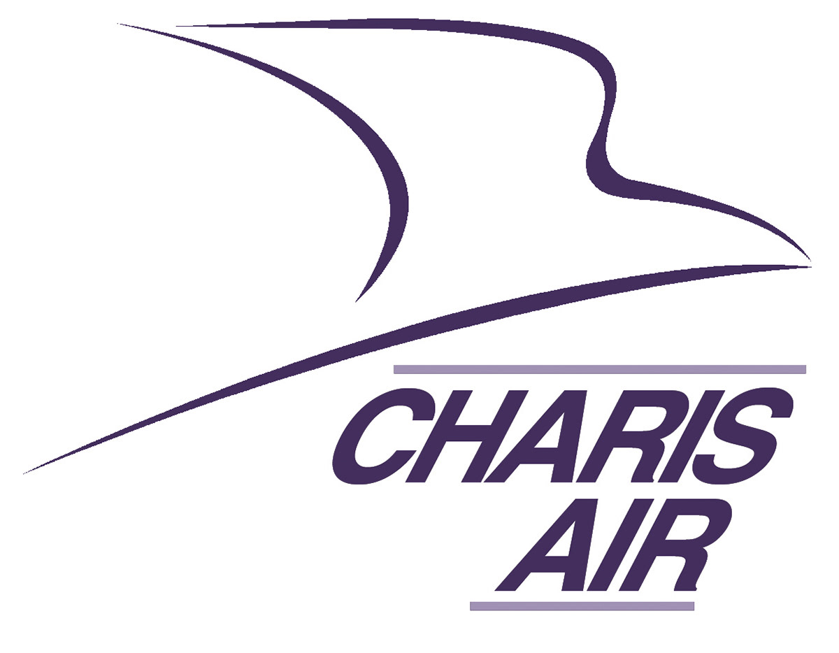 logo airline executive flight