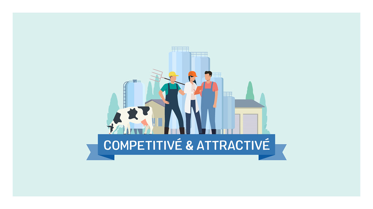 explainer video animation  cattle farming Character cow dairy products farm ILLUSTRATION  milk motion