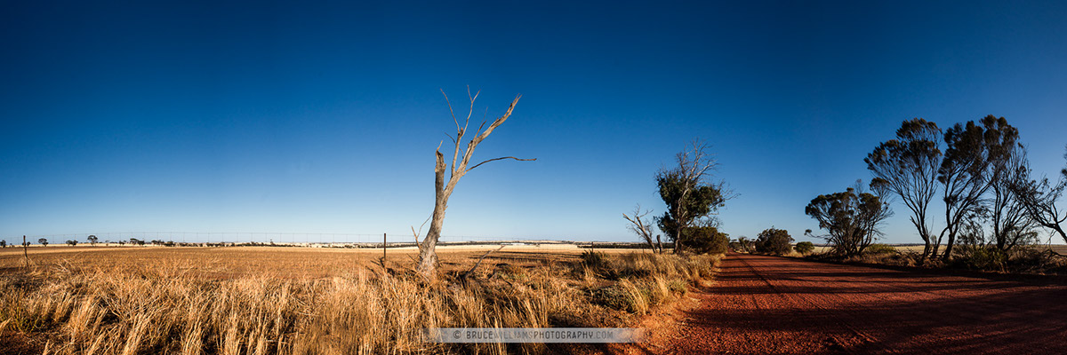 Adobe Portfolio bruce rock rural Wheatbelt  Landscape