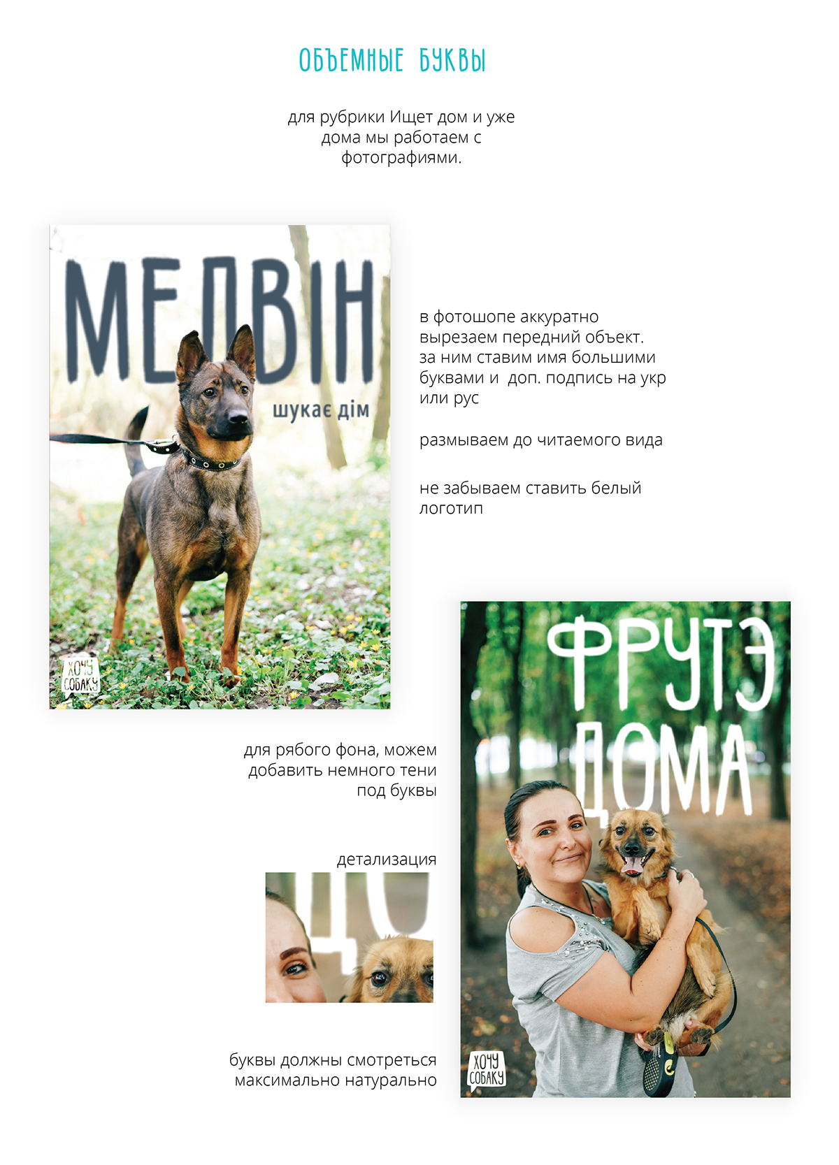 charity dogs logo branding  shelter SMM Logo Design design graphic design  brandbook