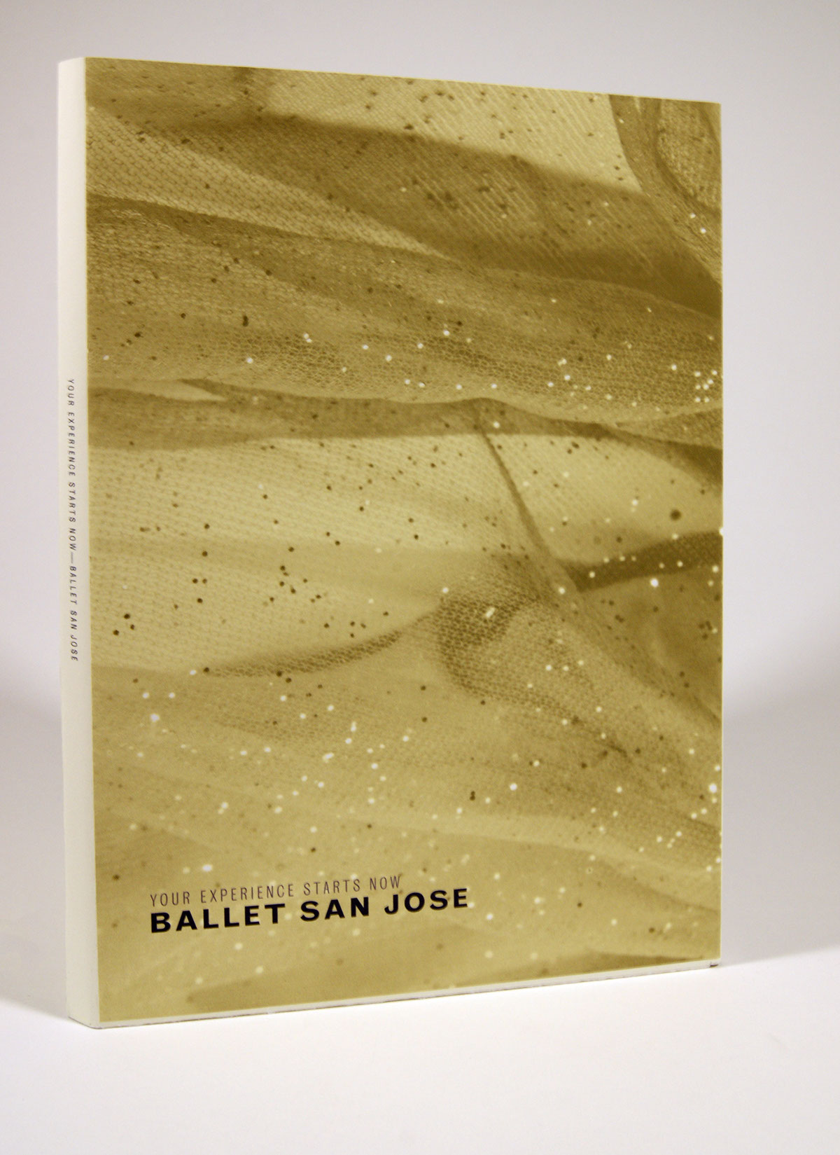 Adobe Portfolio ballet san jose