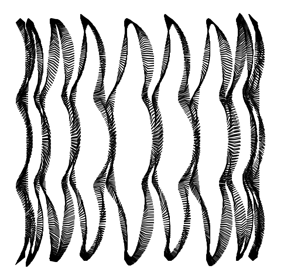 blackandwhite chaos experiment generative growth ink intersect organic pattern FINEART