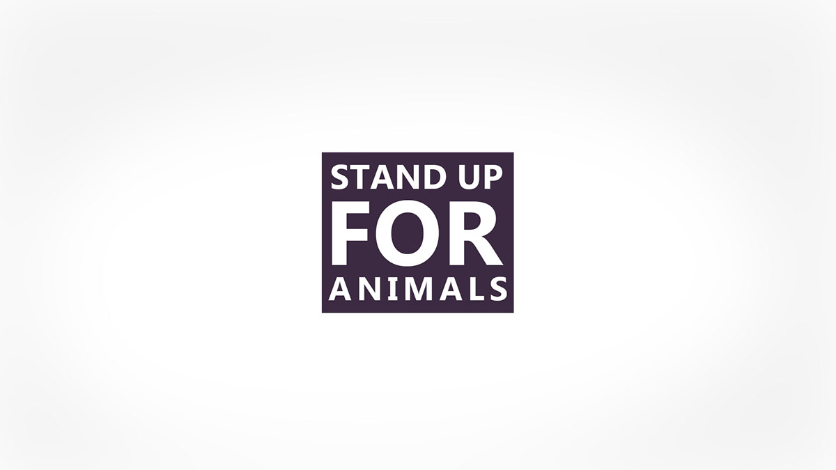 animal animal rights
