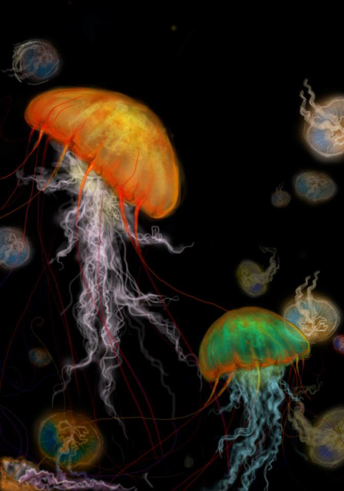 jelly fish Ocean marine life sea life watercolor digital painting ILLUSTRATION  aquamarine