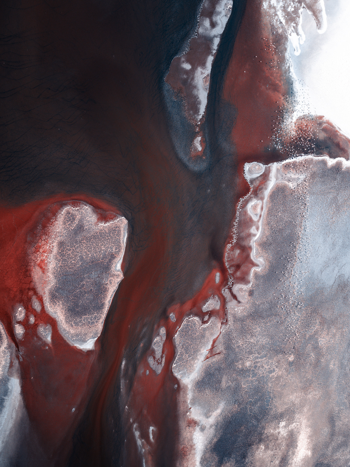 abstract Aerial africa art FINEART kenya lake naTRON Photography  Tanzania