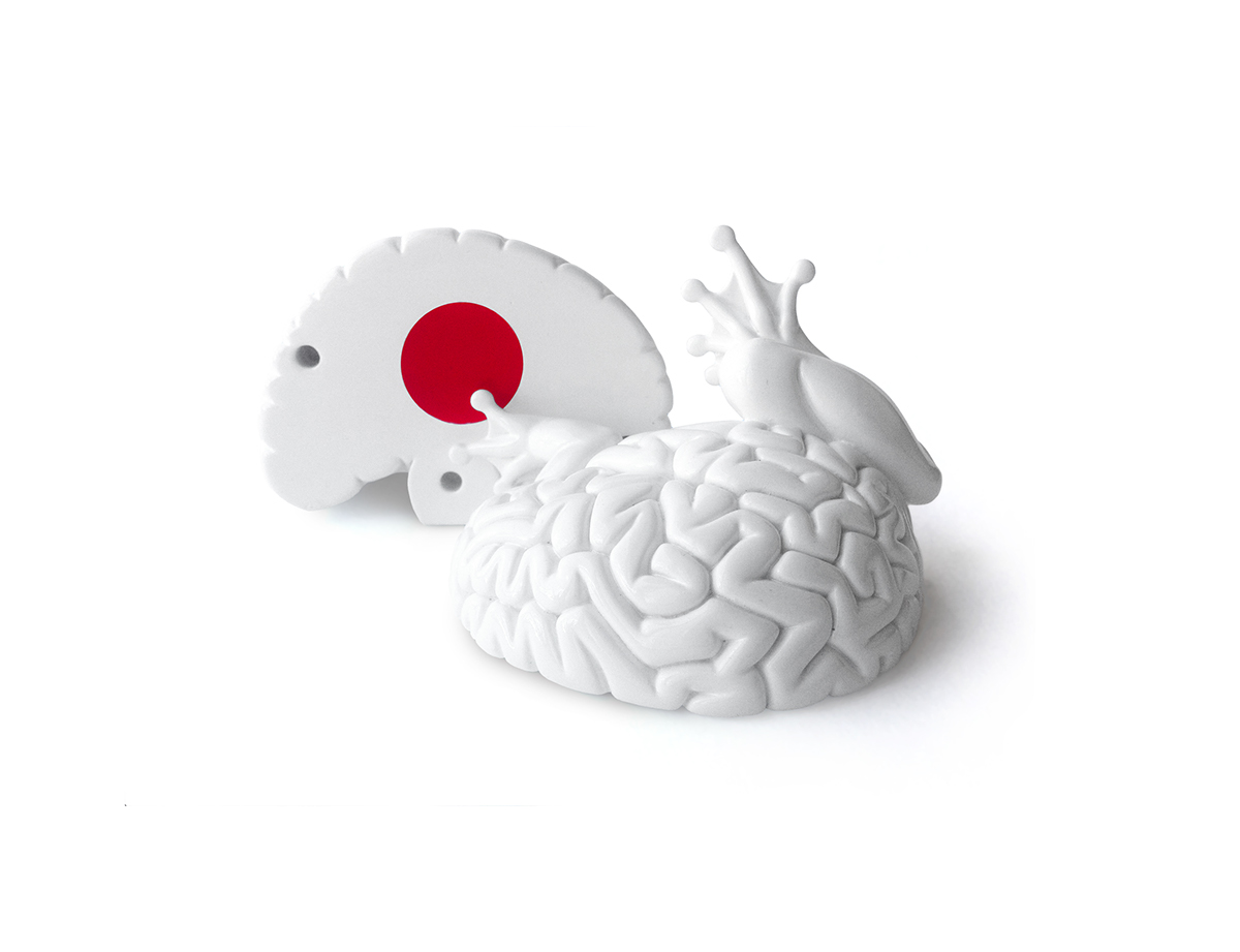 jumping brain japan earthquake disaster lapolab emilio garcia sunami brain frog hinomaru flag