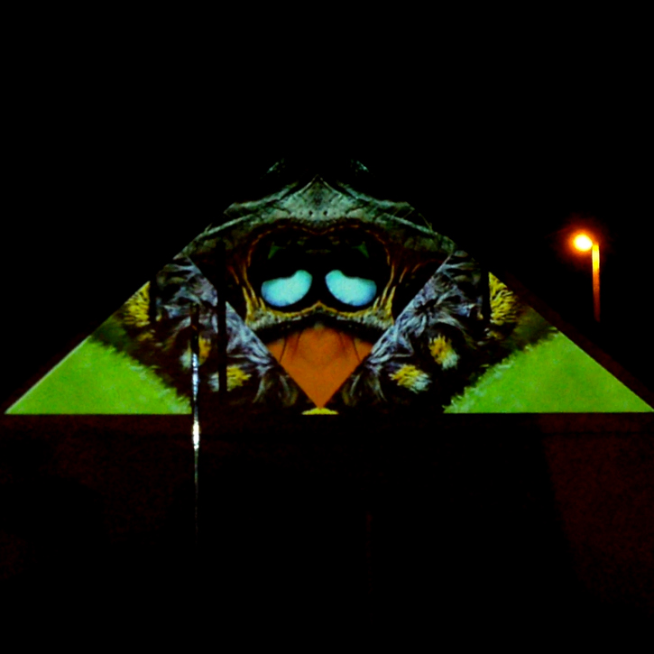 live media projection mapping