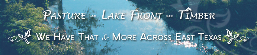 water reflection company logo homelandproperties