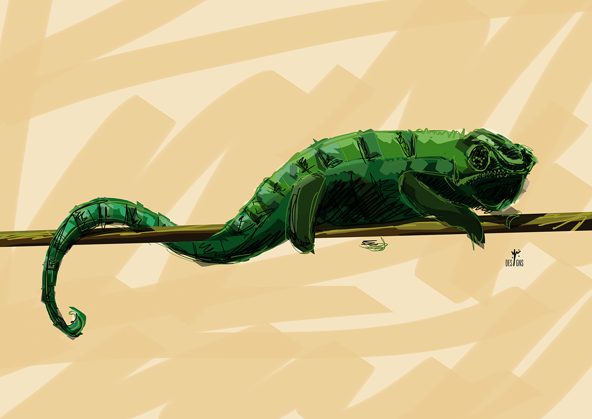 reptiles chameleon Turtle serpents lizard sketch quick colour