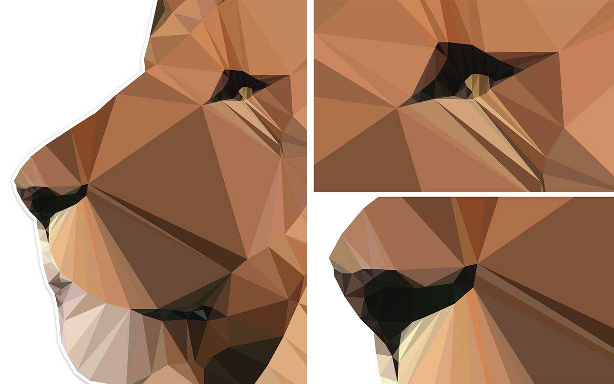 polygon  PolygonArt  illustrator  Illustration  7Issue  vector  vectorart  lion