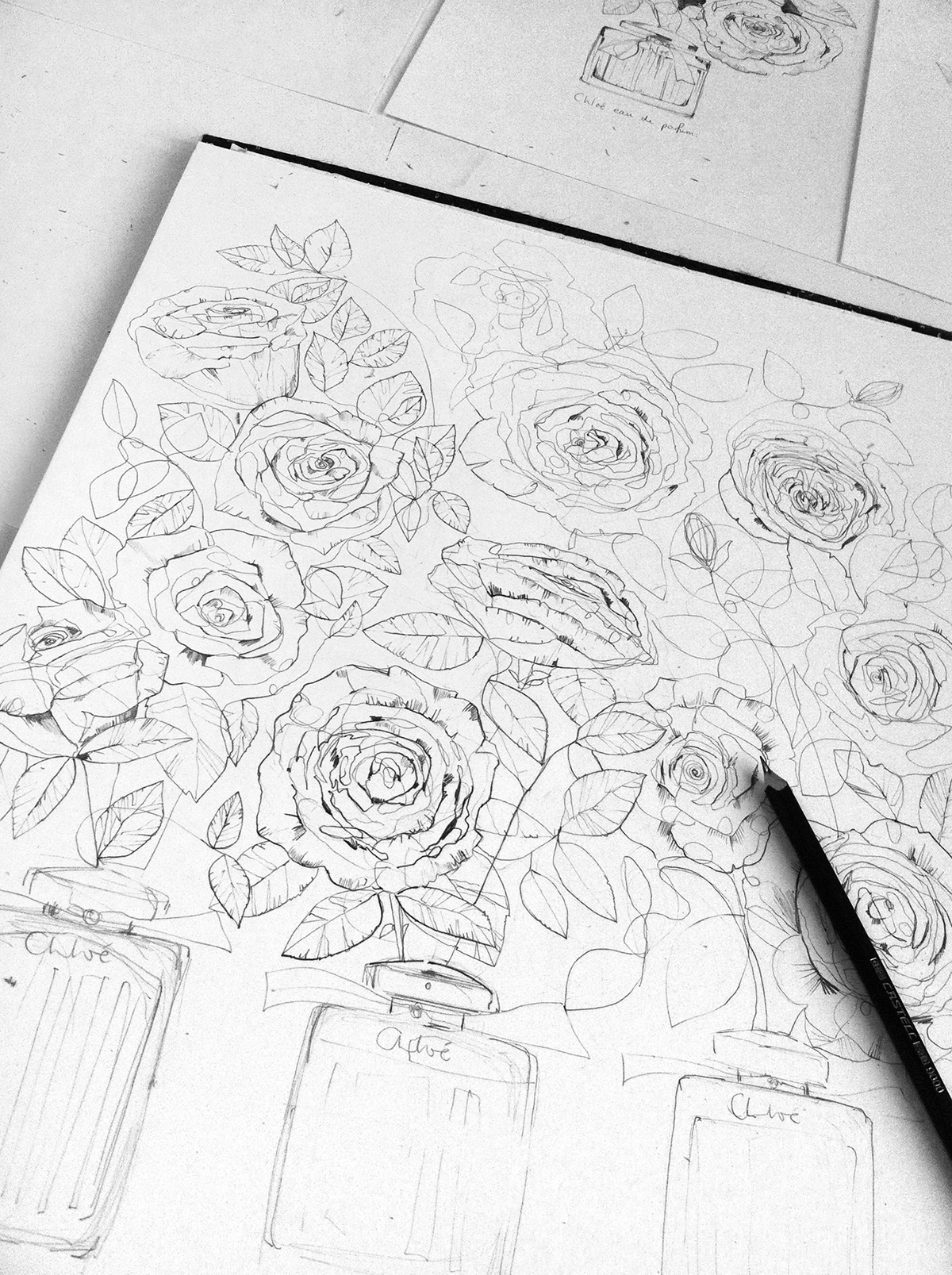Flowers Roses watercolor watercolour line drawing delicate feminine