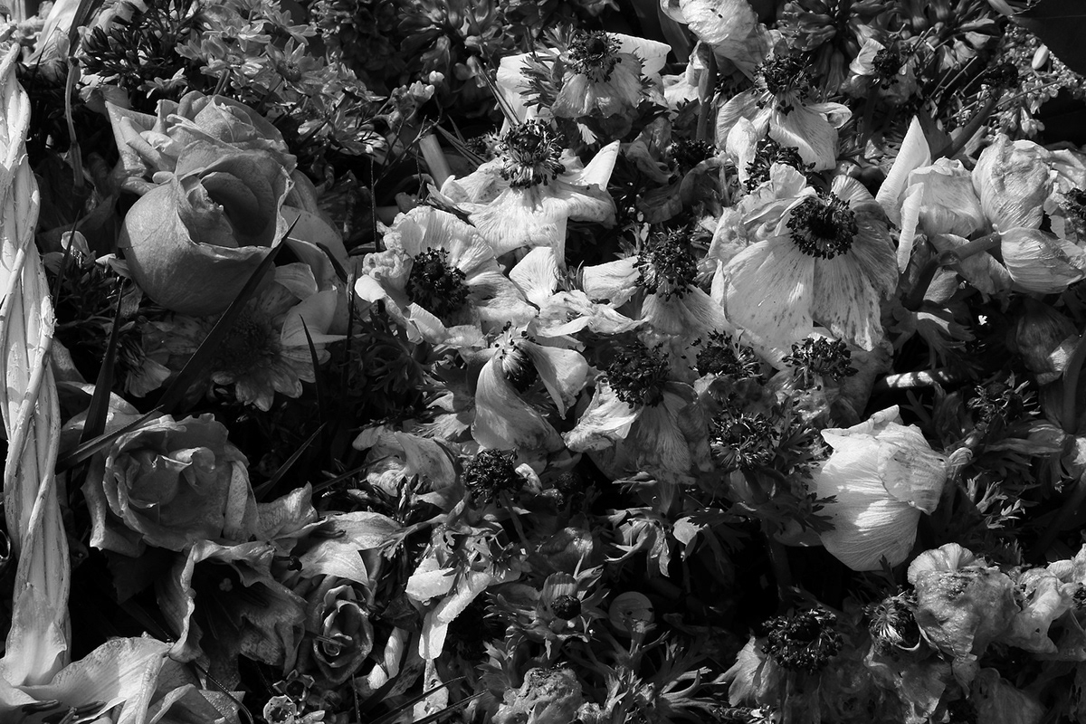 Flowers cemetery grave Paris pèere lachaise
