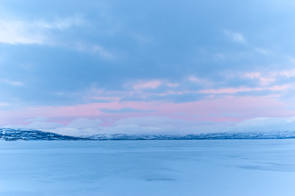 aurora Northern Lights Sweden  landscape Lapland torneträsk tornetraesk reindeer lake ice winter
