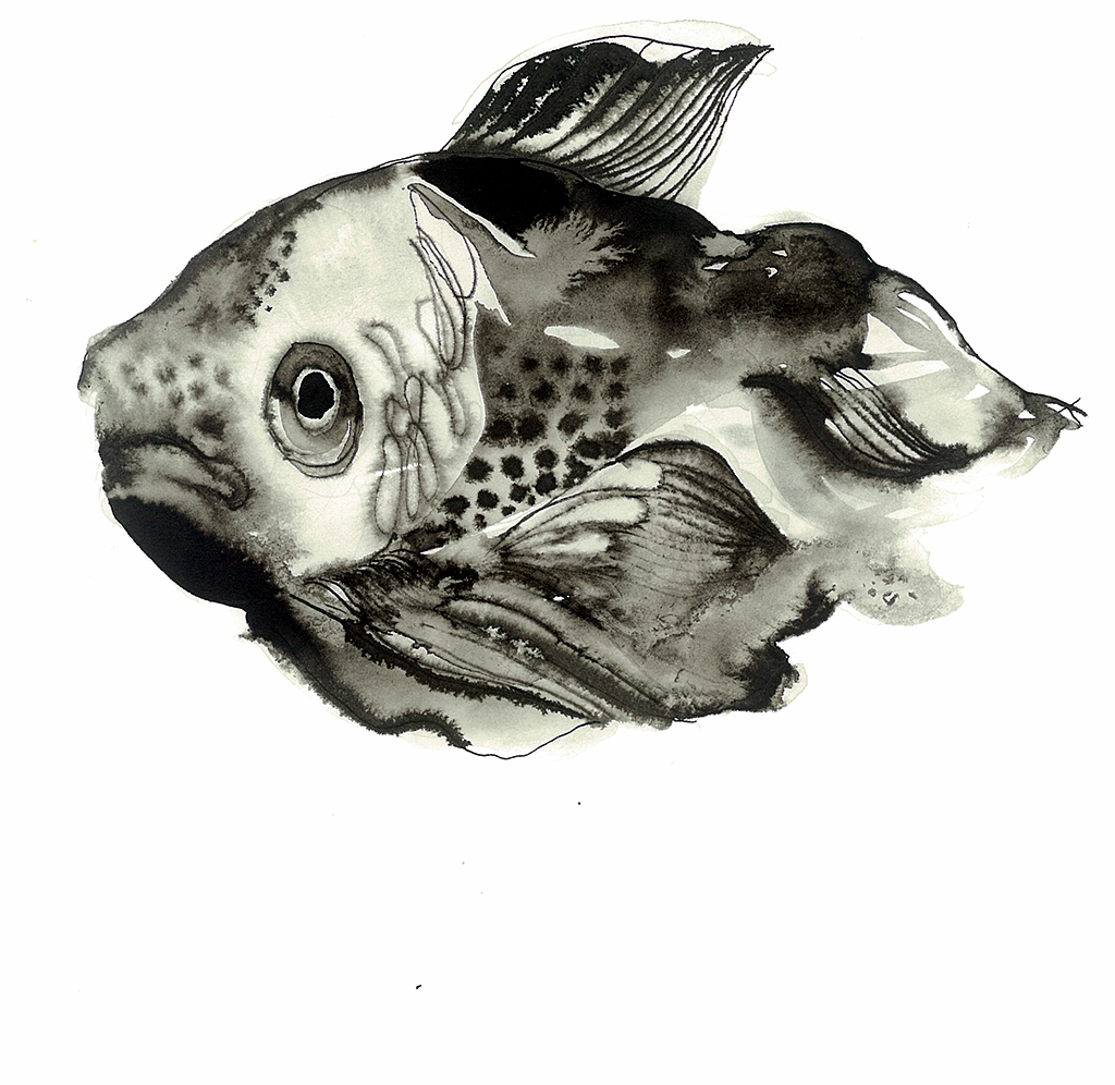 abyssal fish Pilot black and white paper julia santa olalla