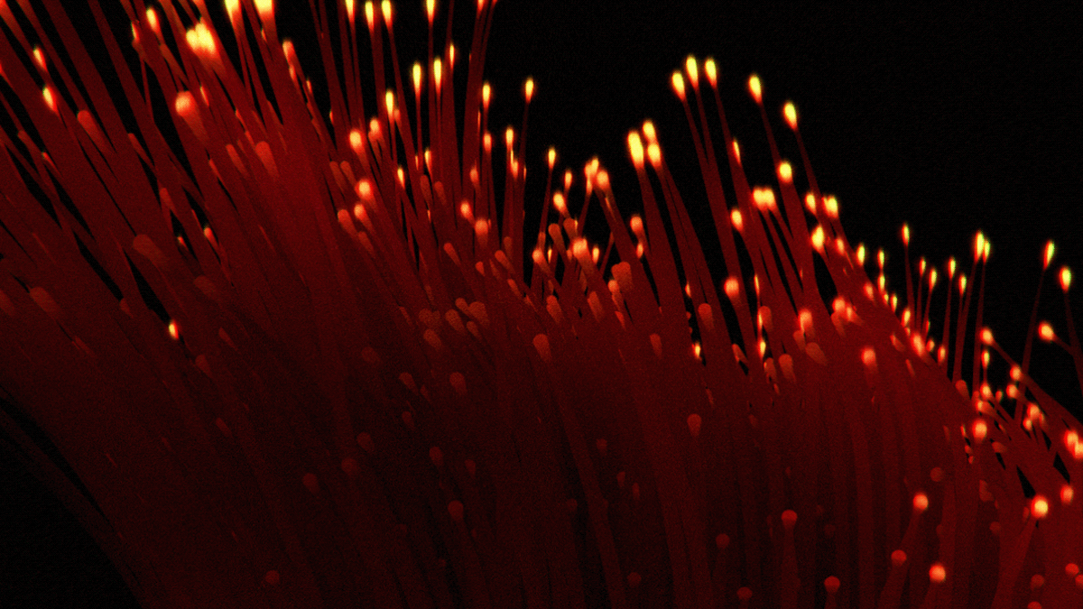 glow anemone