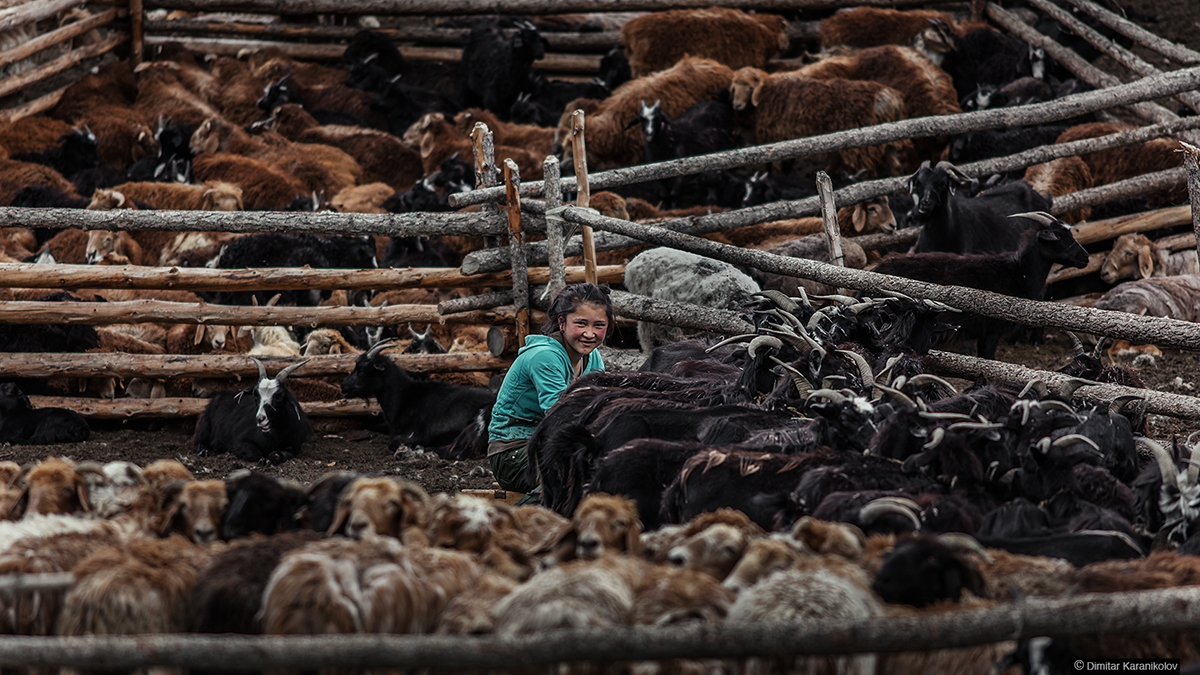 travel photography Travel prhotography mongolia kazakh eagle hunter nomads eagle ger tribe portrait