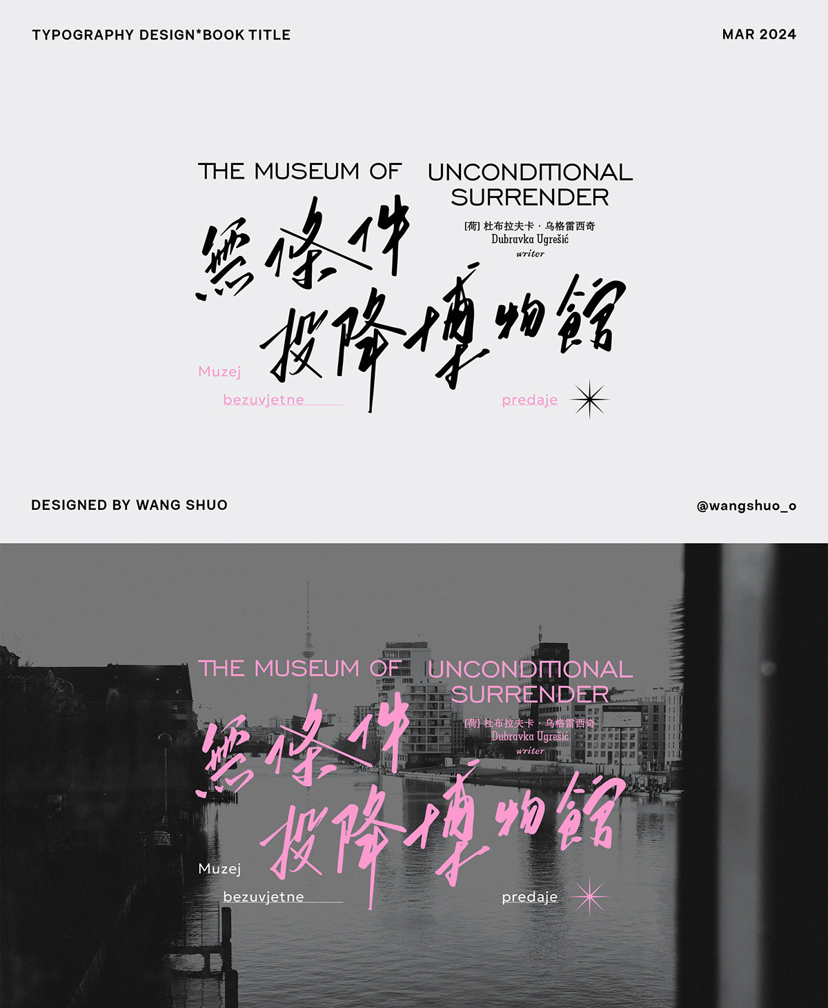 handwriting font lettering Calligraphy   book title typography   Typeface Chinese Calligraphy 設計 شهر  