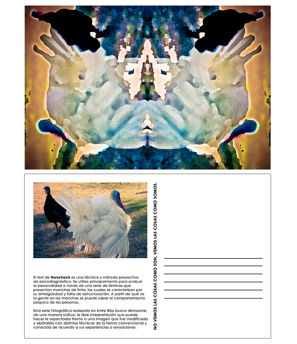 Fotografia  Photography postales postcard naturaleza Nature psicologia psychology rorschach
