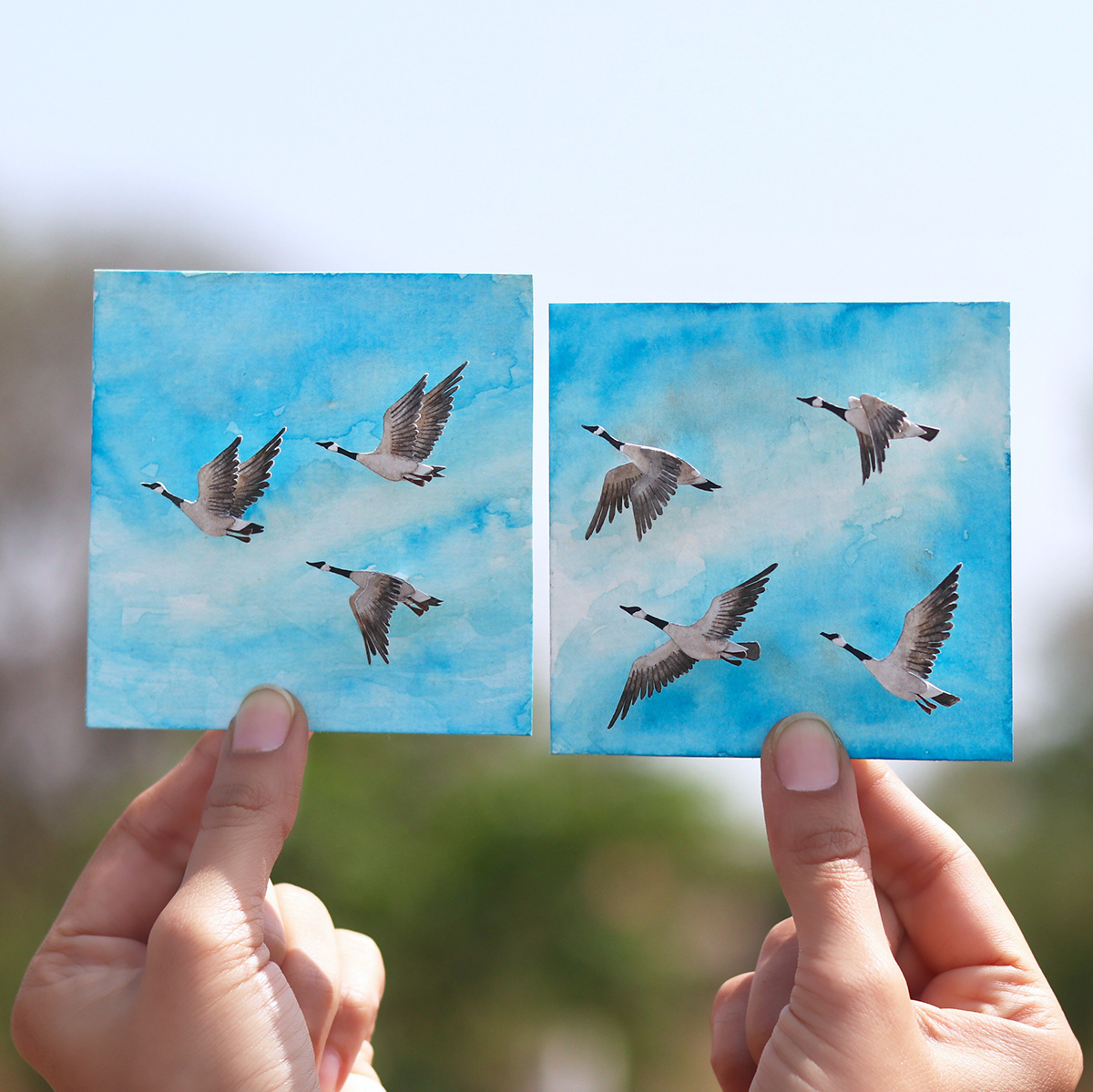 papercut watercolor artwork Miniature Behance wildlife Nature animals birds editorialillustration