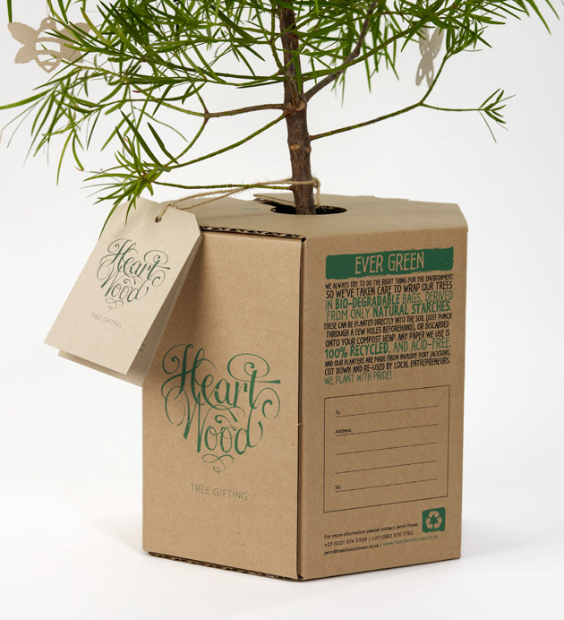 Packaging brand identity gifting trees business card letterhead
