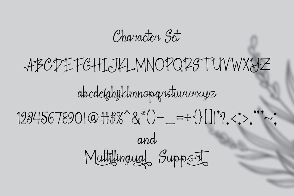 font Typeface handwritting Script lettering handwritten stylish Beautiful Calligraphy   feminime