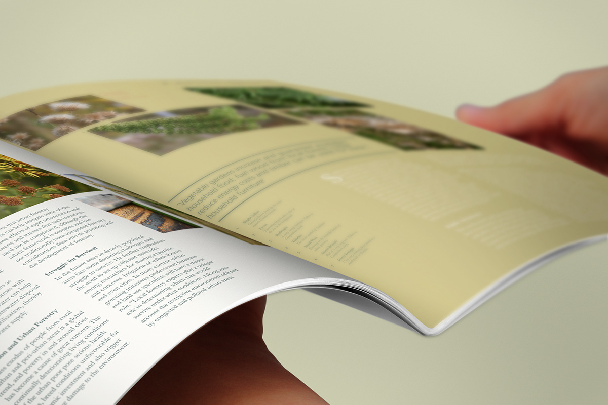 magazine  layout  typography baseline  article