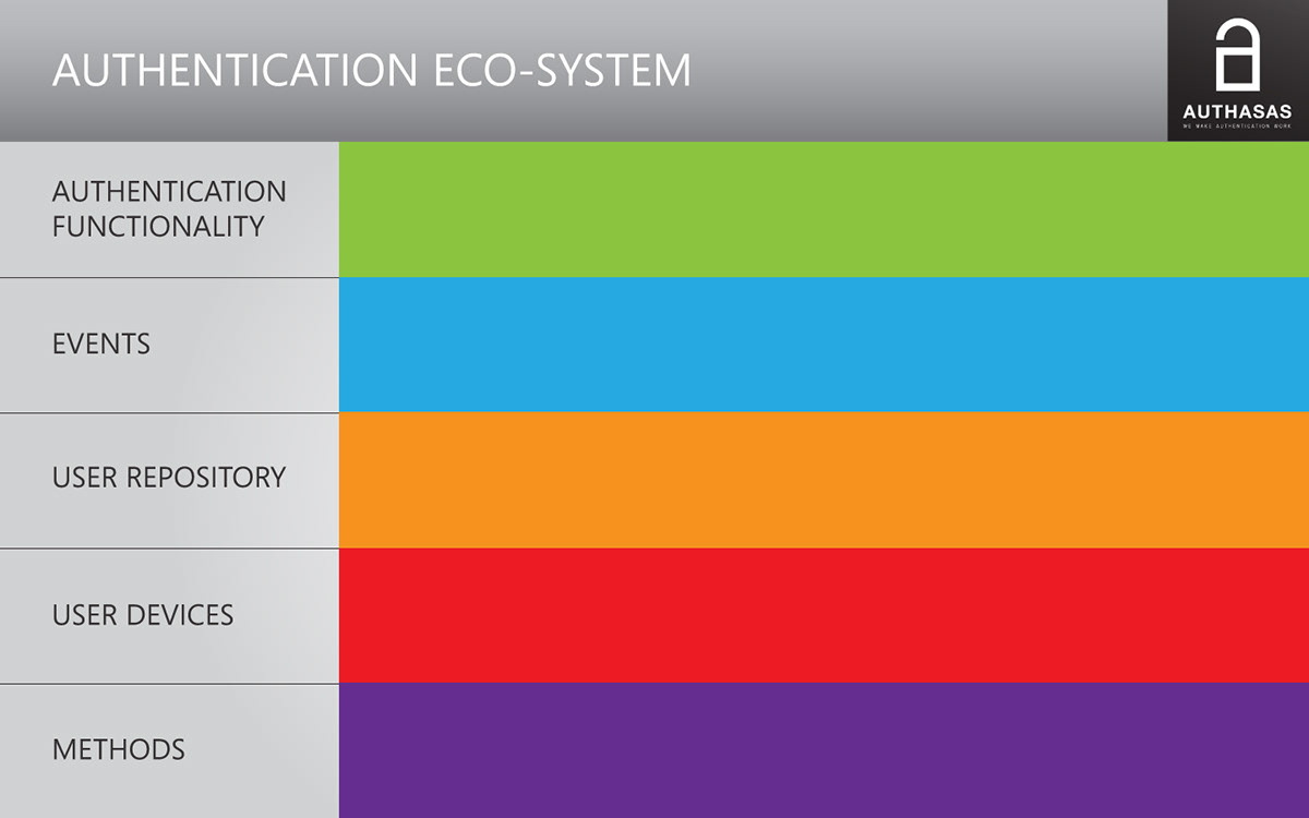 infographic eco-system authorization presentation