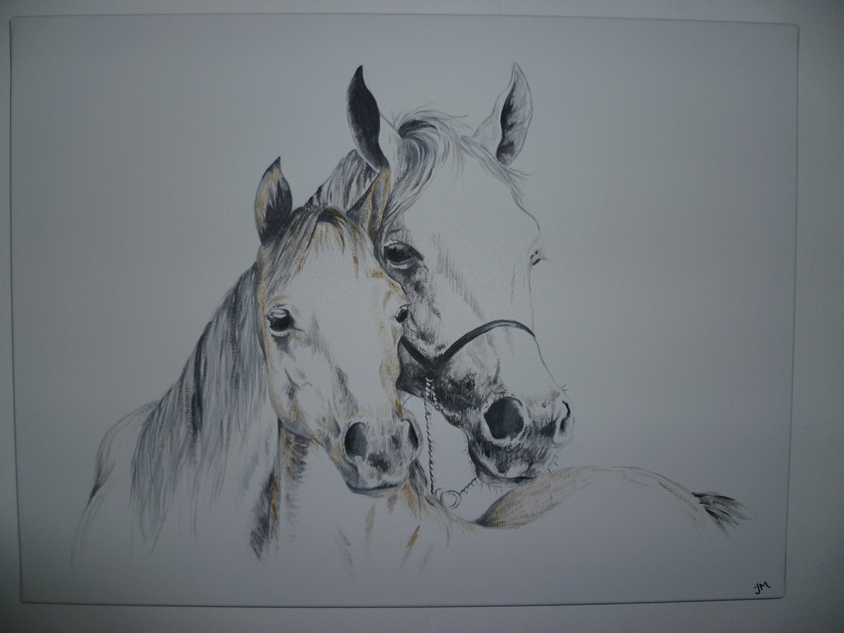 horse canvas acrylics