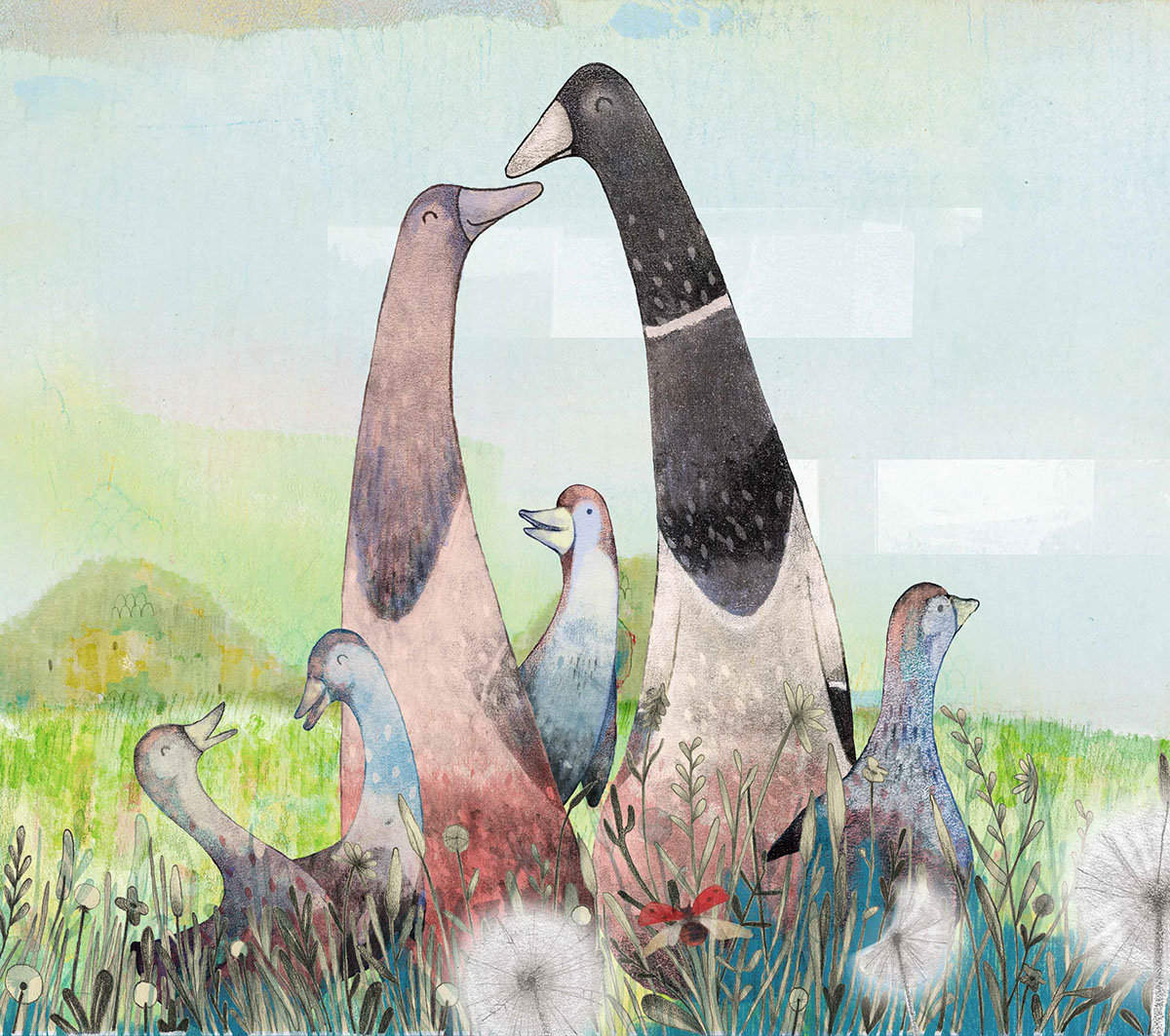 book illustration Picture book animals graphite summer spring duck mammals Landscape children's book