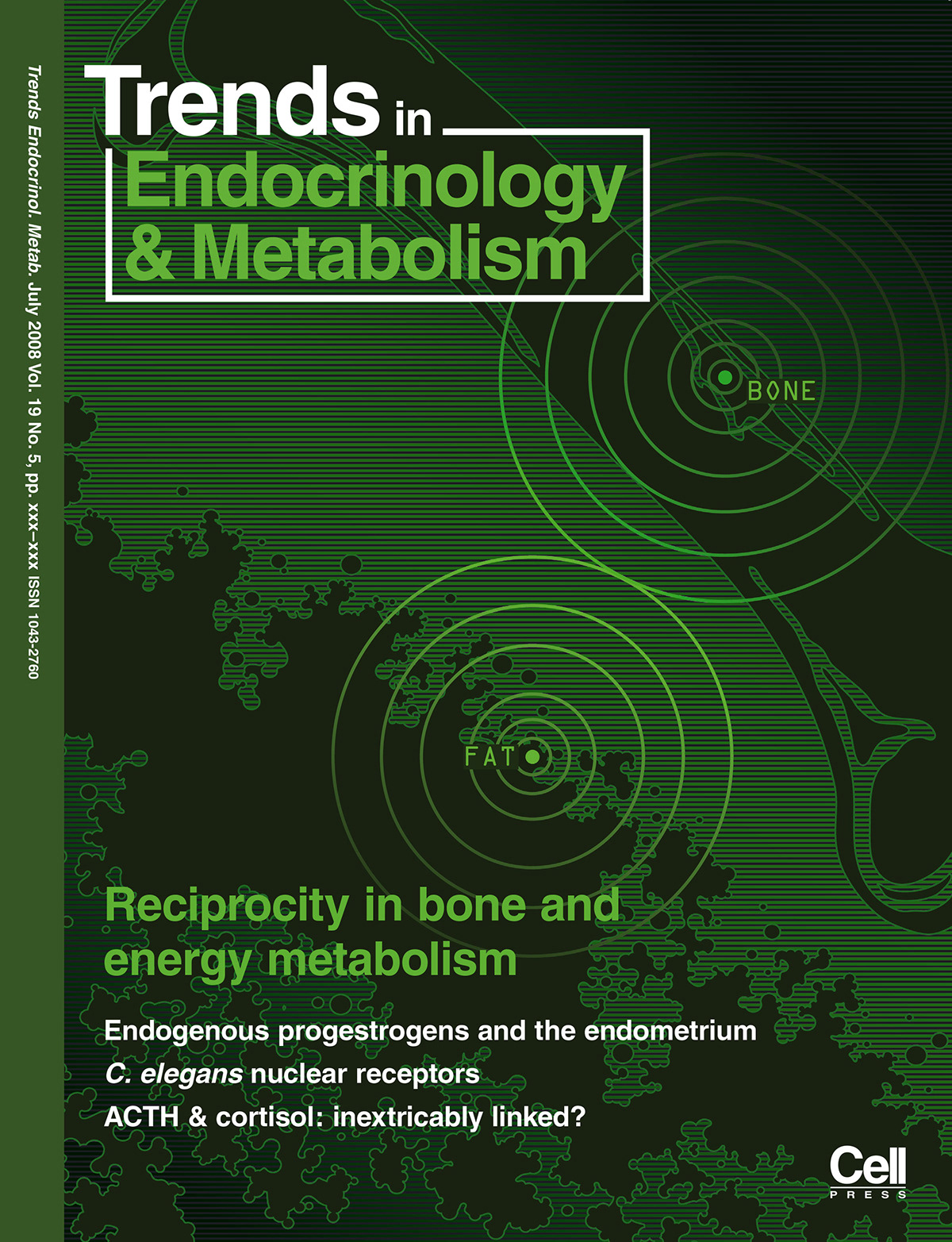 science bone fat Endocrinology metabolism communication