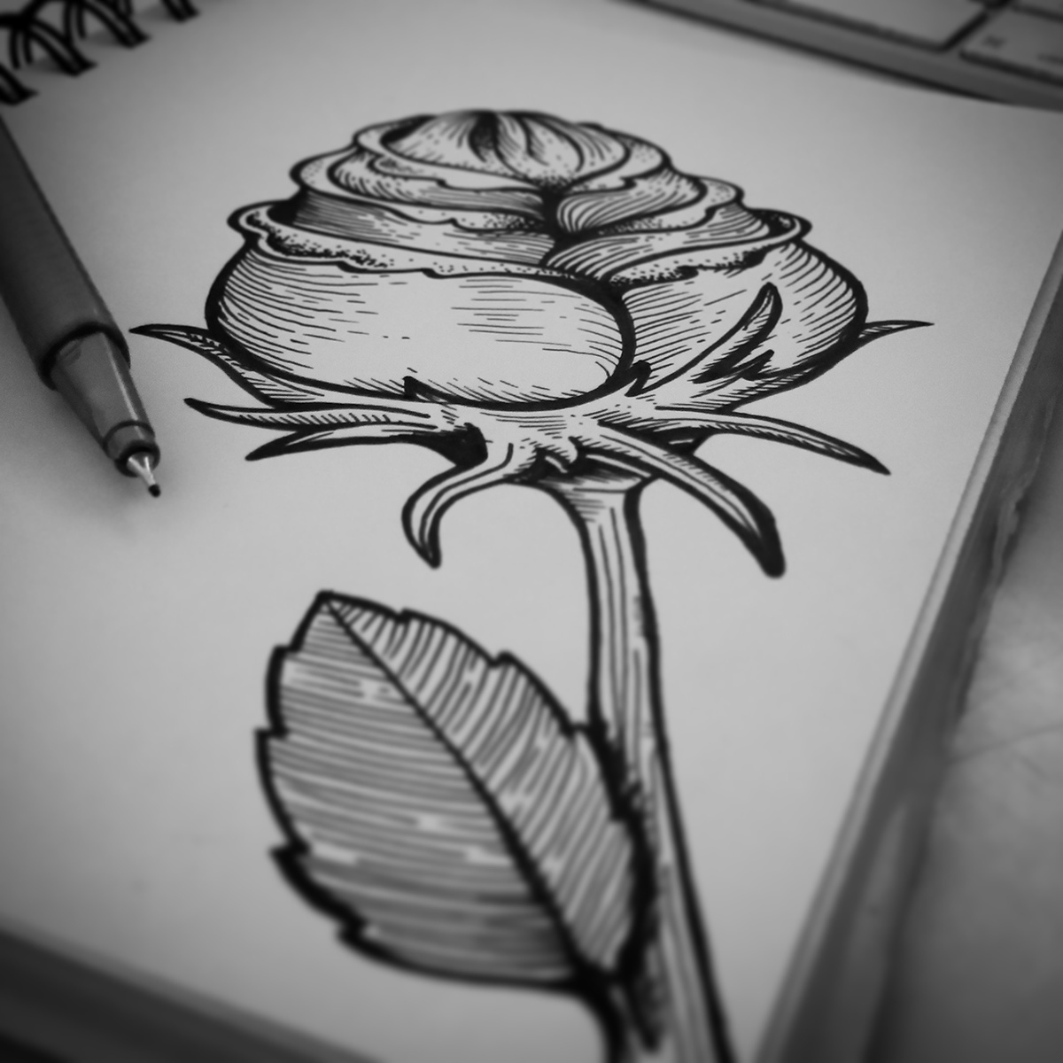 lettering tattoo tipografia ilustracion skull flower diye artist diye illustrator diye design