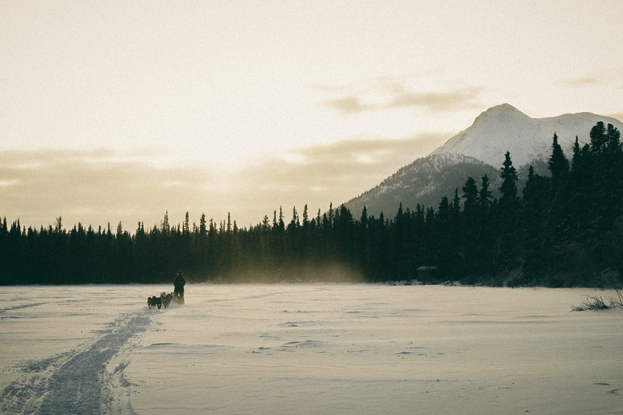 photo serie art Photographie sled dog yukon Alaska wild journey story