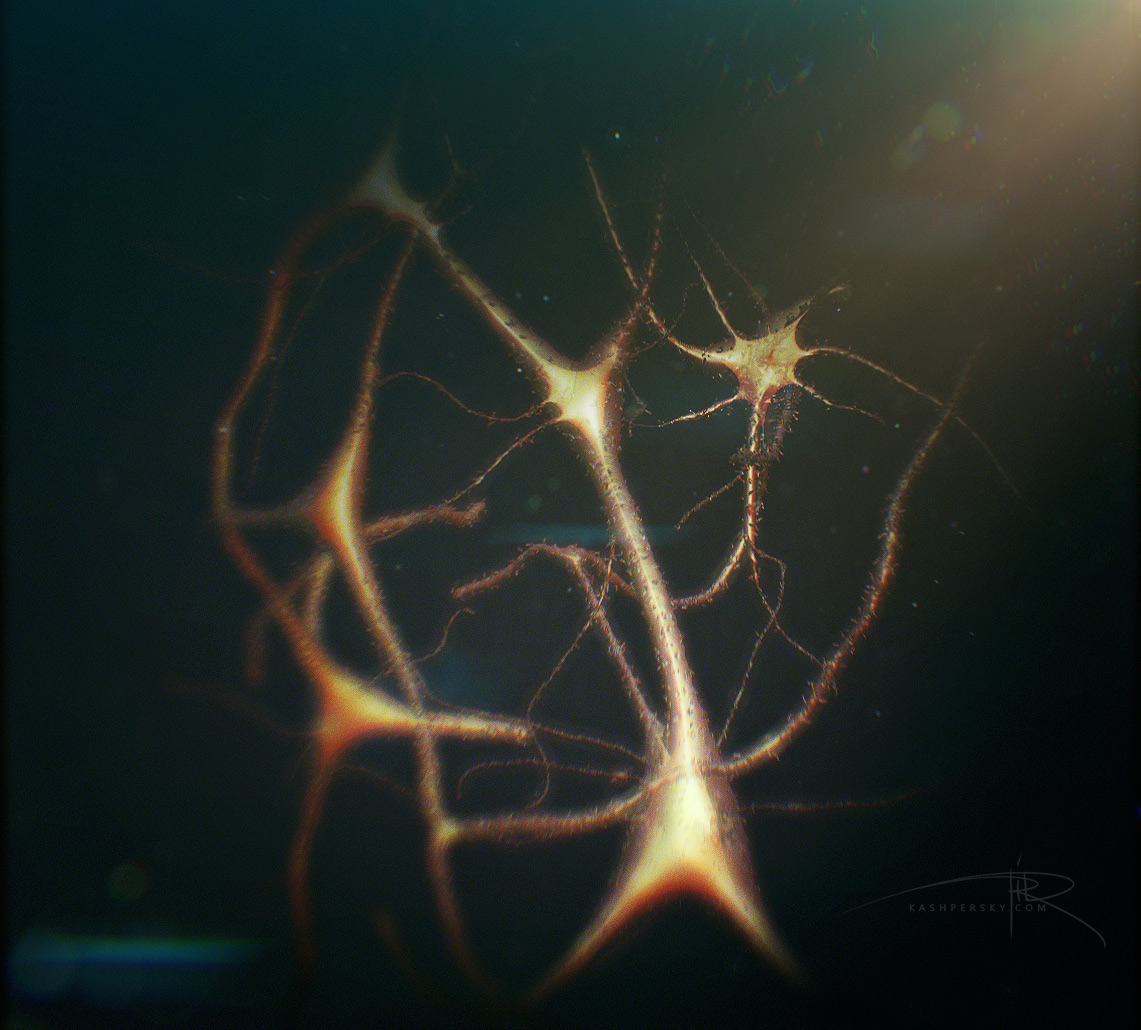 neuron brain