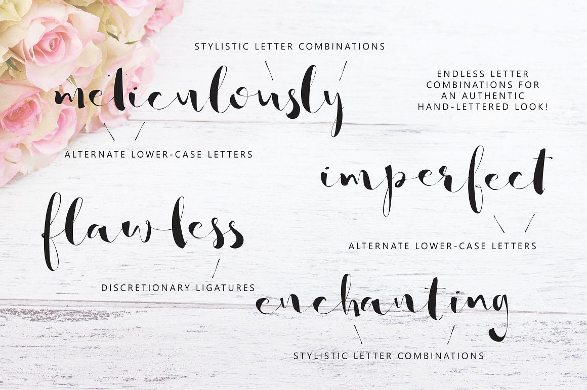 lettering font Script Typeface typeography