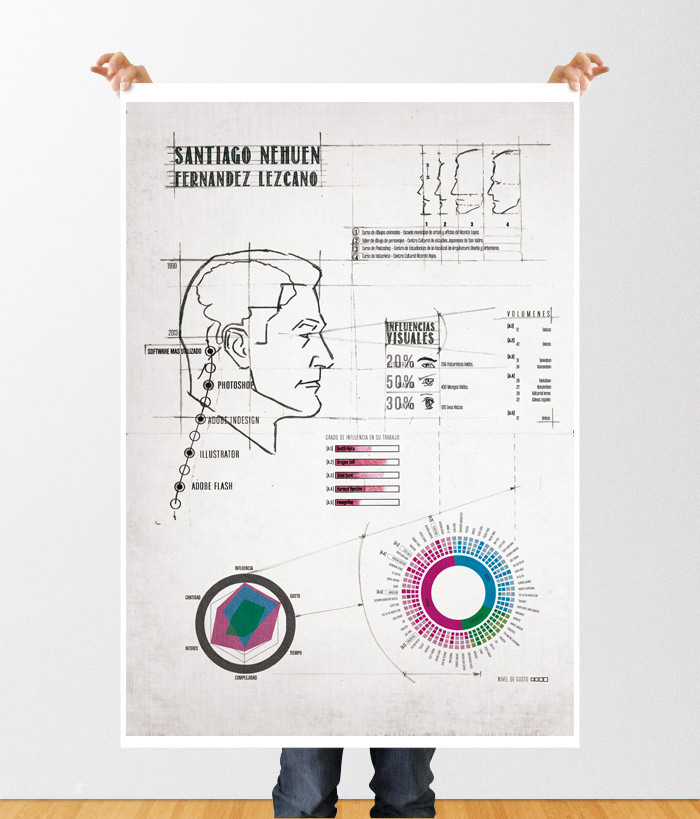 infografia infographics CV Curriculum Vitae information design poster