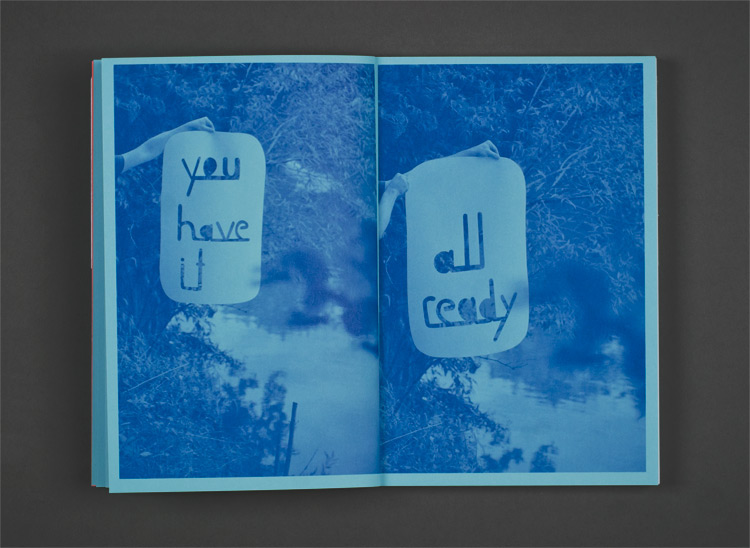 lettering book metallic florescent Typeforce artist red blue