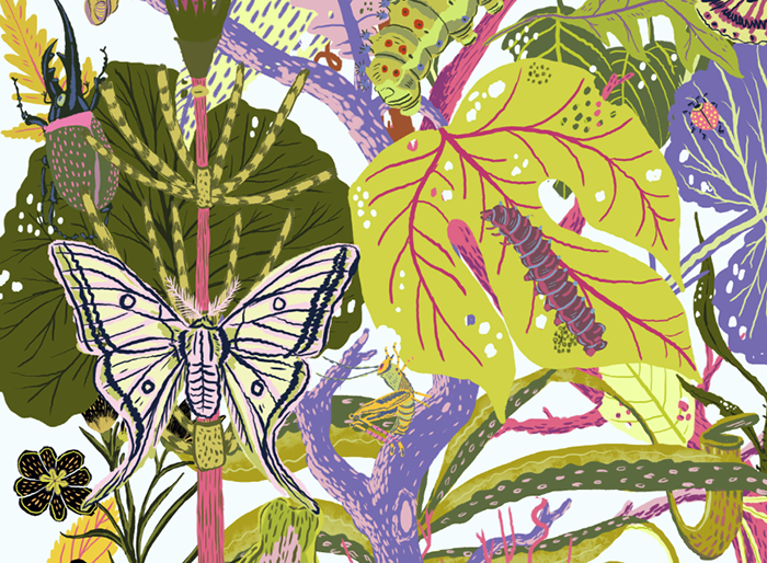 Illustrator art card design textile graphic Computer plants botany science Nature natural leaves